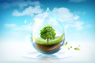 世界卫生日：我们的地球，我们的健康